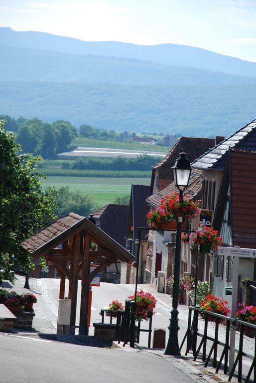 La Maison De Georges - Les Coquelicots Scharrachbergheim-Irmstett Phòng bức ảnh